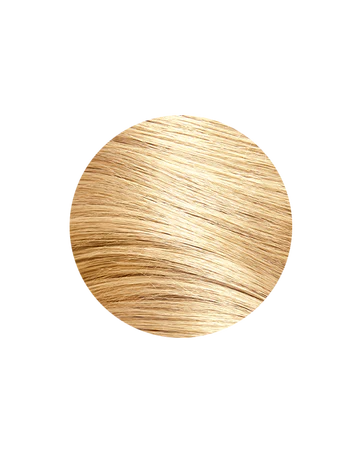 Gold - 9.3/9G Lightest Golden Blonde